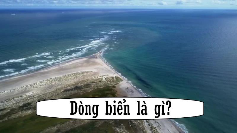 Dòng biển là gì? Phân loại dòng biển và đặc điểm của từng loại dòng biển
